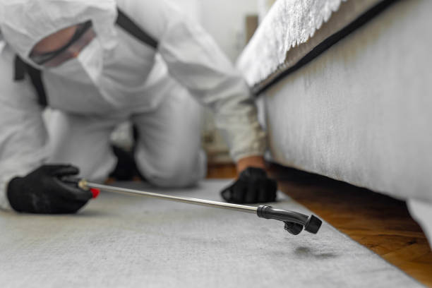 Professional Termite Control technician working in Lilburn, GA