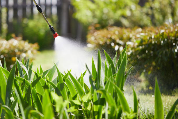 24/7 Emergency Termite Control experts in Lilburn, GA